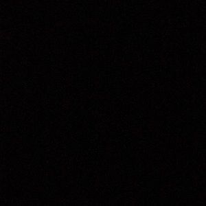 Meet your Posher, Cheyenne